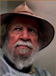 威廉·戈尔丁 william golding