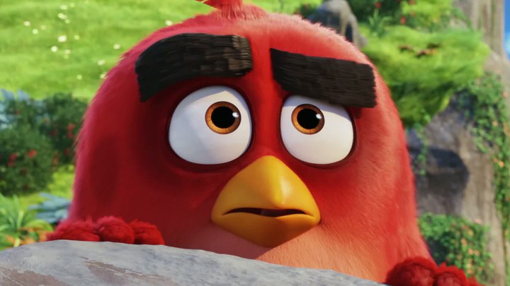 愤怒的小鸟动画短片图片
