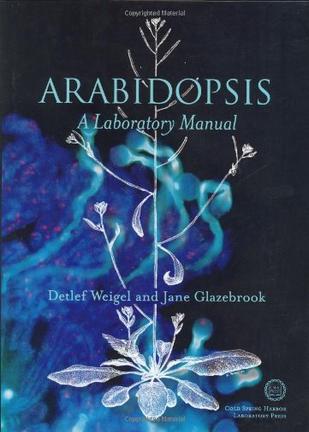 arabidopsis