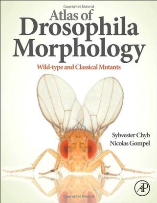 atlas of drosophila morphology