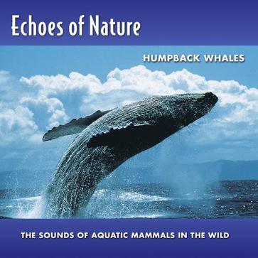 echoes of nature: humpback whales
