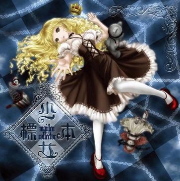少女标本maidencollector