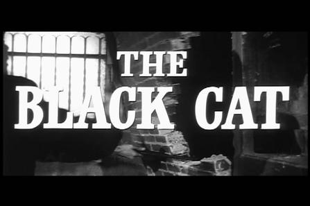 the black cat 全部影人