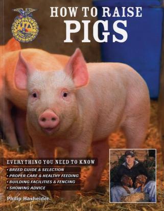 how to raise pigs