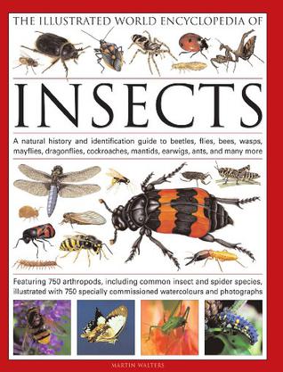 the illustrated world encyclopaedia of insects