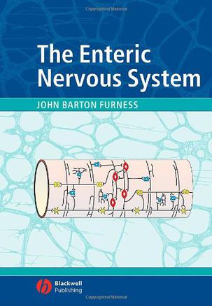 the enteric nervous system