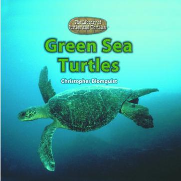 green sea turtles