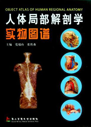 人体局部解剖学实物图谱