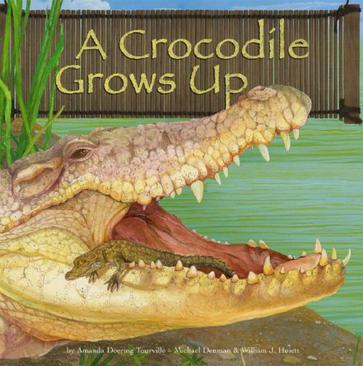 a crocodile grows up