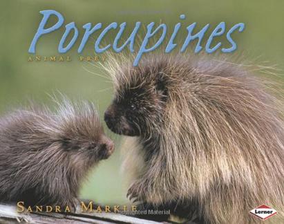 porcupines