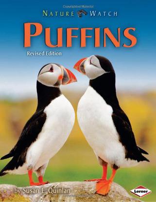 puffins