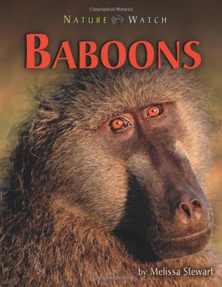 baboons
