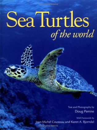 sea turtles of the world