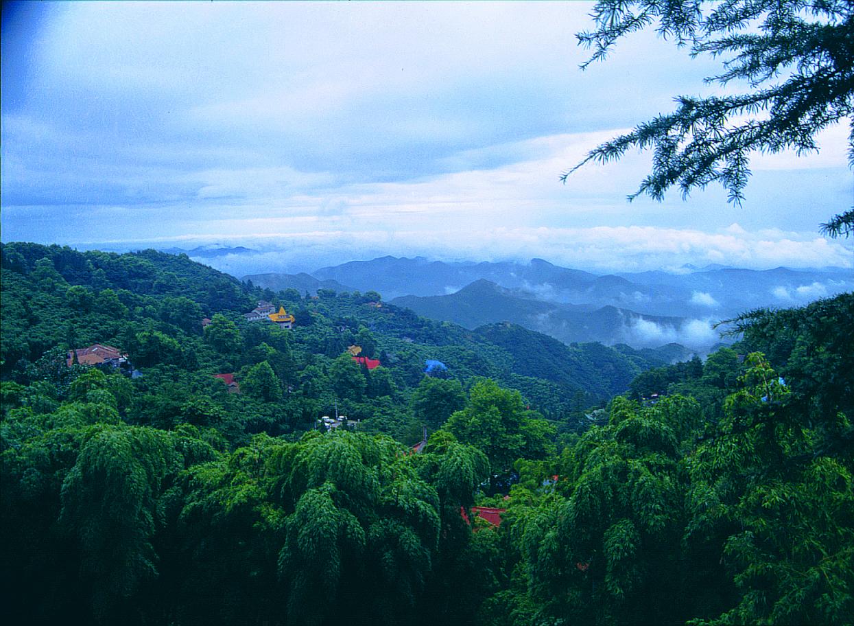 【踏青山水游】:莫干山下渚湖—山花烂漫-水荡花田