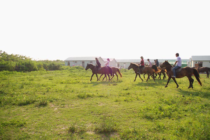 2010年10月23,24日横沙岛骑马,烧烤野营,采橘子第六季