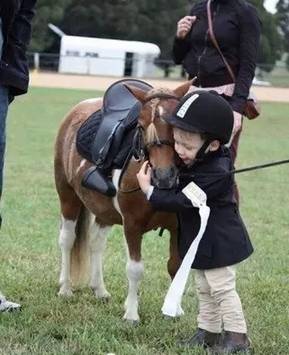 法国著名马术教练带来法式马场教学---pony小矮马的趣味亲子马工课