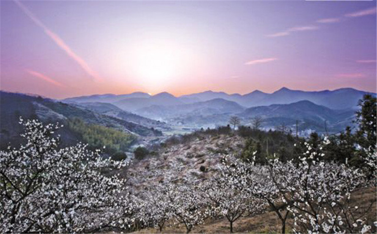 去英台故里|赏十里花海·徒步凤鸣山