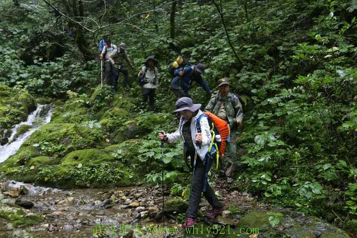 9.22-24号神农架重装穿越无人区,观赏最美原始森林风景线