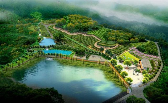 每周六,日 09:30 - 15:00 地点: 厦门 海沧区 厦门海沧雷公山葡萄园