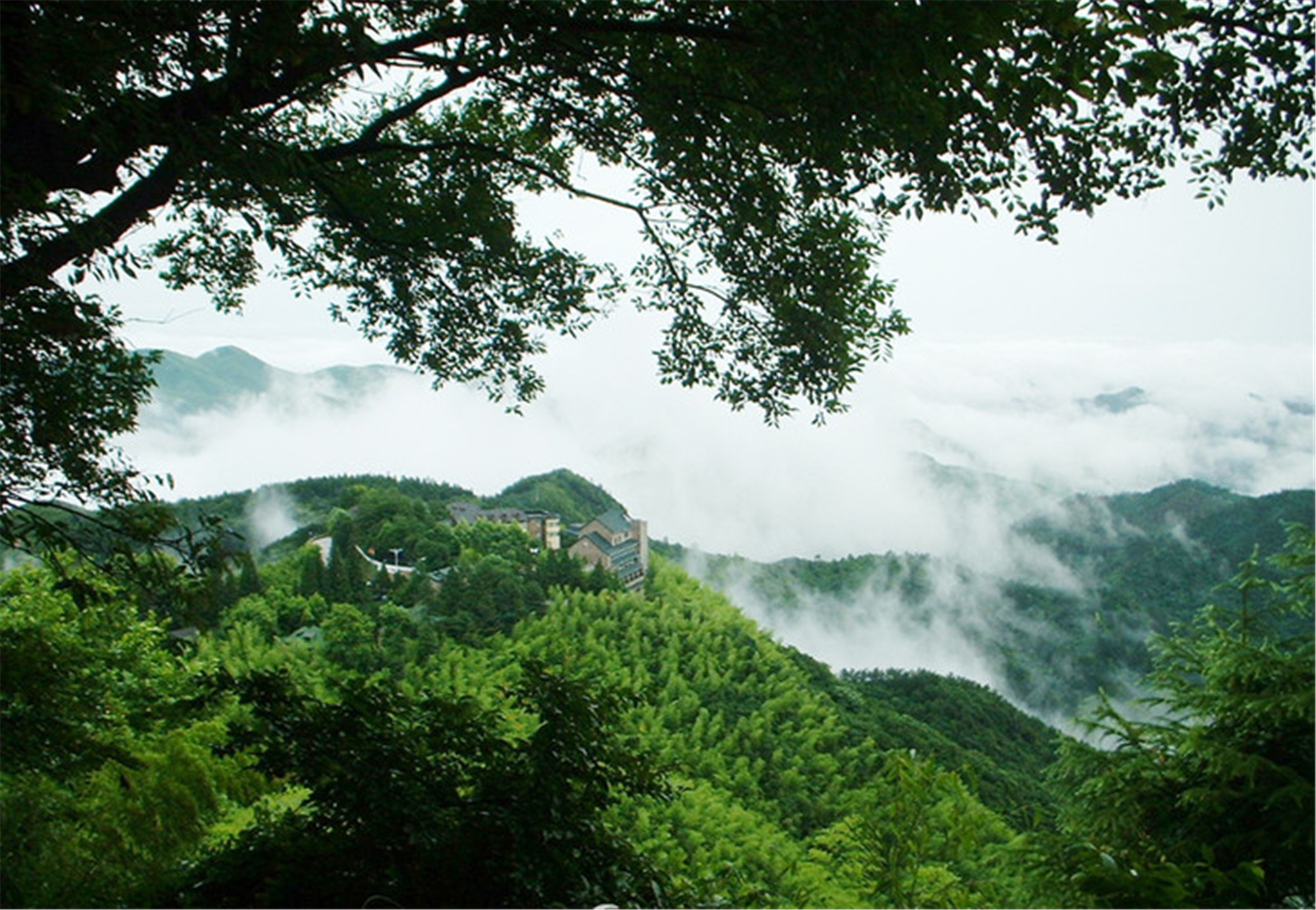 徒步莫干山,赏漫山竹海,走幽深蒋公道(1天活动)