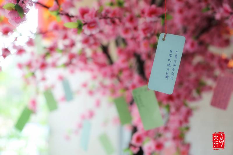 【树舍出品】 丙申年 · 花朝节 · 百花庙会