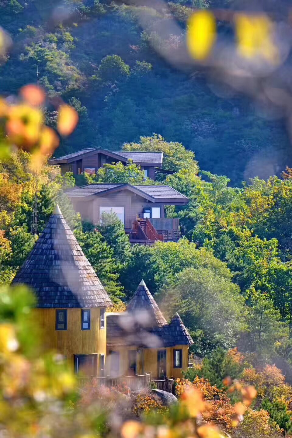 住进童话里,栖居在树上的轻奢山居生活 11.12-13