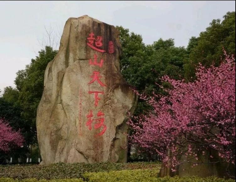 时间:   02月16日 周六 09:00-17:30 地点: 杭州 余杭区 超山风景区