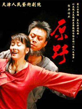 2014首届天津曹禺国际戏曲节—话剧《原野》