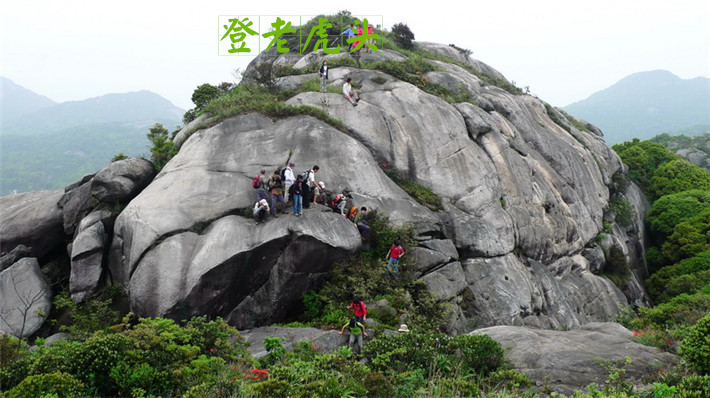 【南方户外||登山--老虎头】12月15号从化老虎头登山徒步(已报5人)