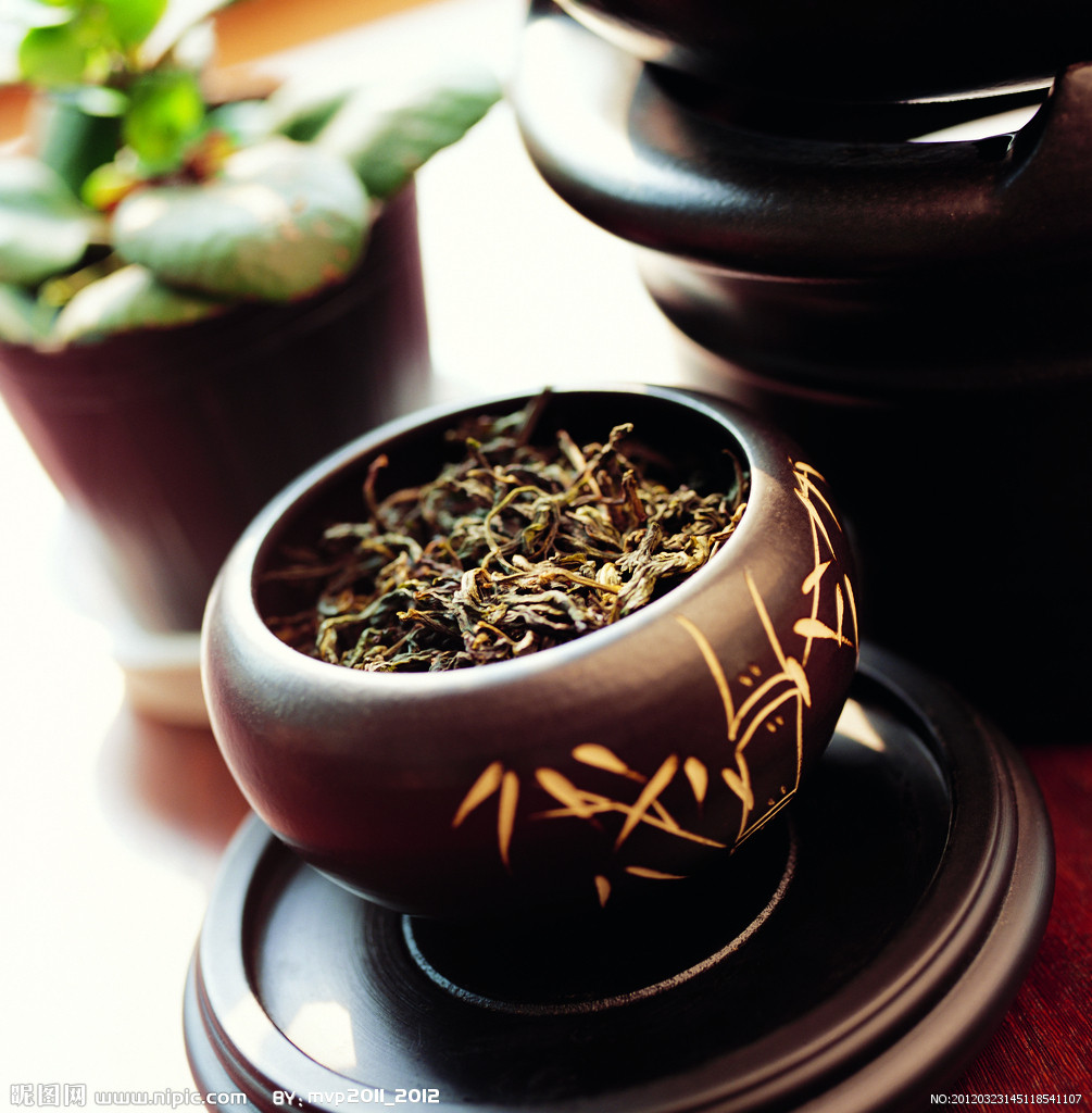绿萝茶室开课了_豆瓣图片