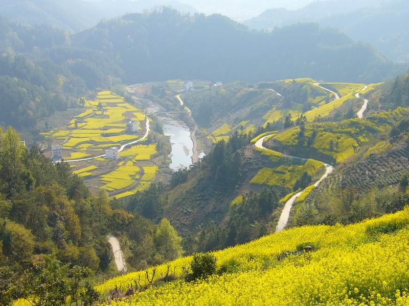国庆皖南山水四日游