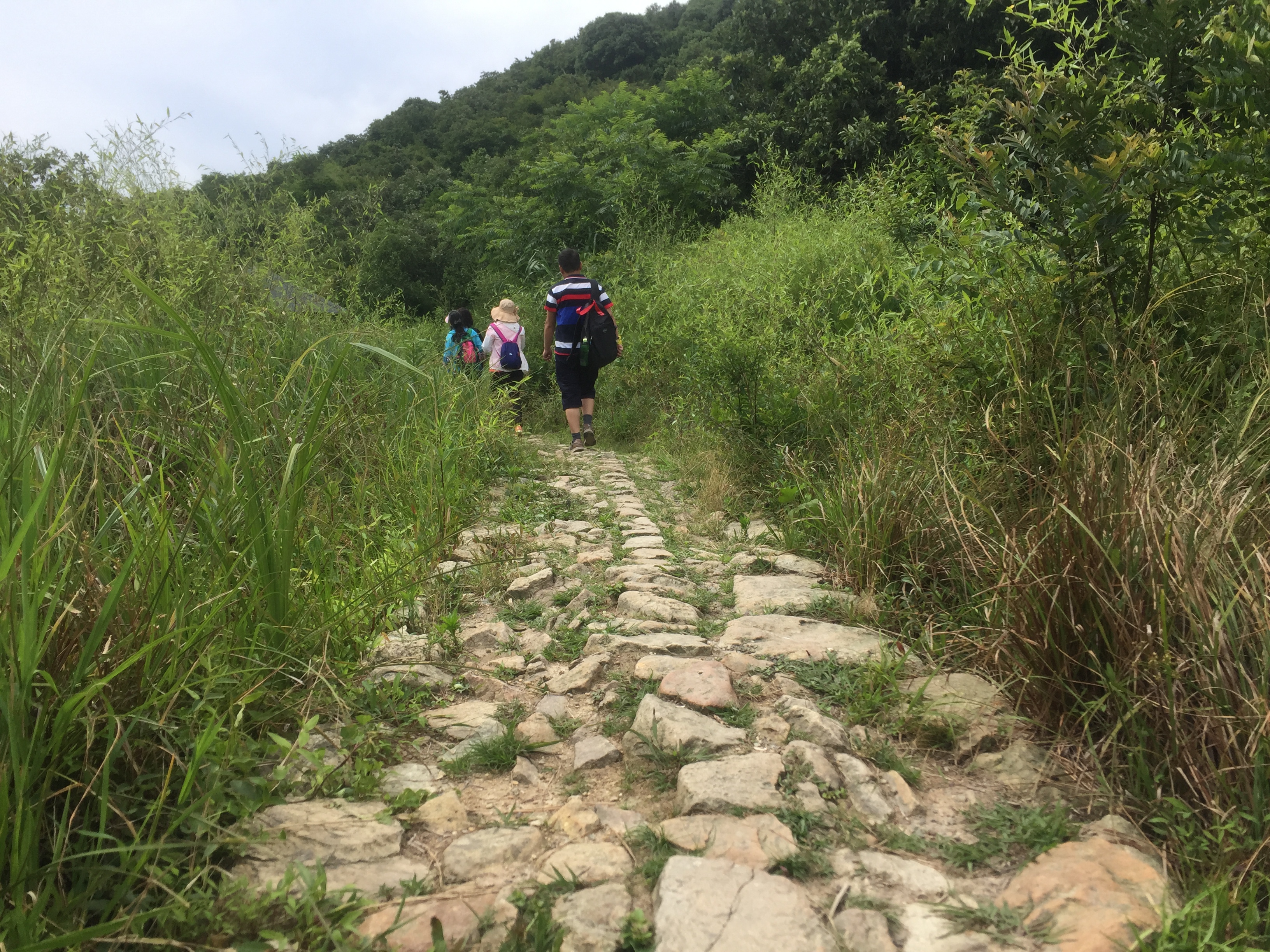 6.16栲栳山古道徙步&慢行于千亩杨梅林场中