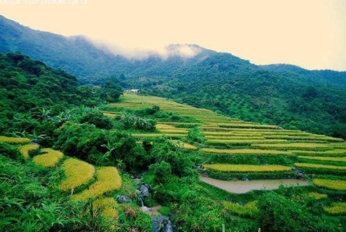 (11月2日)藏不住的美丽,惠东九龙峰-角峰村穿越,赏金黄梯田一日游