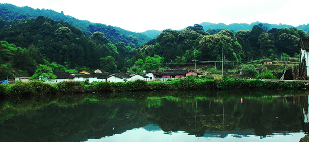 (清明活动)4月2日赏枫叶廊桥,竹海青桐,徒步广州最美的乡村从化影古