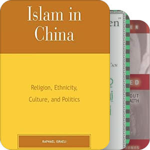 书名含有“islam”（2001—2005）