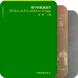 中国翻译出版的拉美文学作品（2000-）