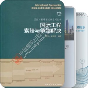 境外项目投融资专业辅助用书