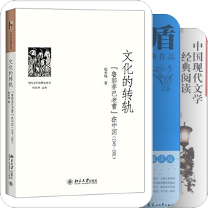 学人文丛—程光炜