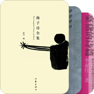 中國當代文學（詩歌）