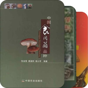 专题｜菌菇物语