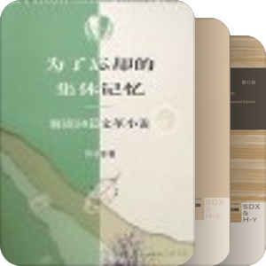 “发展”经济主导之外