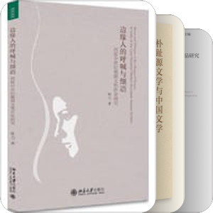 文学论丛（北京大学出版社）