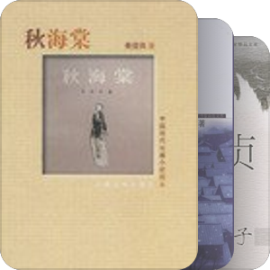 书籍之闺秀小说