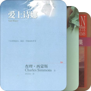 网络买书记之2009-3