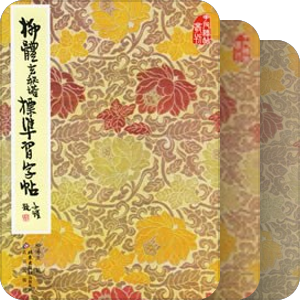 花皮书
