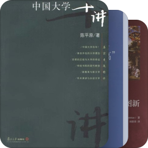一个高等教育学研究生