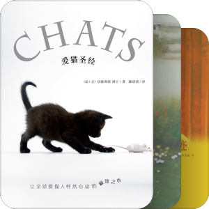 关于猫的书