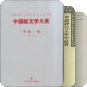 过去半年死磕FD