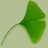 ::Ginkgo