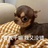 Chiwawa?